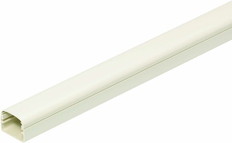 モールダクトヤガイヨウリブナシ