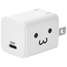 USB　Power　Delivery　30W　AC充電器(C×1)