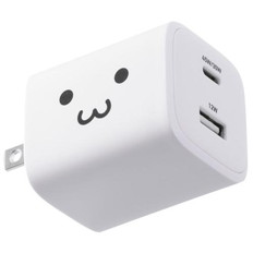 USB　Power　Delivery　45W　AC充電器(C×1+A×1)