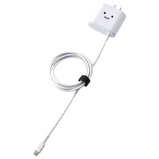 AC充電器(Type-Cケーブル一体型/2.4A)