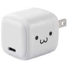 USB　Power　Delivery　30W　AC充電器(C×1)