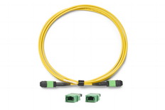 シングルモード検証用　TRC､12芯､タイプA､MPO　APC/ピンなし　-　MPO　APC/ピンなし